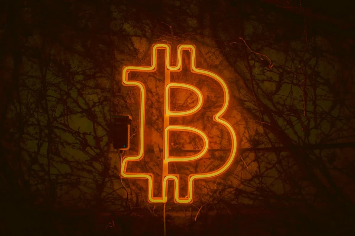 Glowing bitcoin symbol in neon light on vine wall with person in foreground, suggesting finance themes.