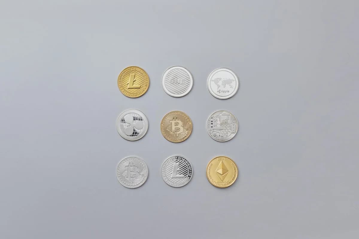 Image showcasing a selection of different cryptocurrency coins arranged on a neutral grey background.