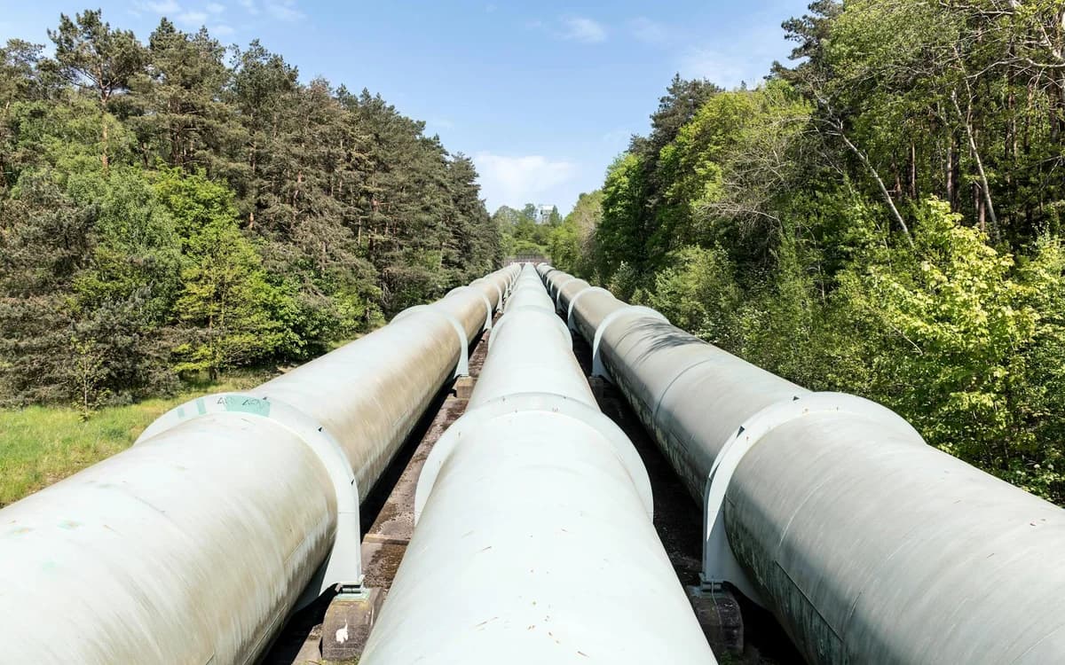 View of large industrial pipelines running through a lush forest landscape.