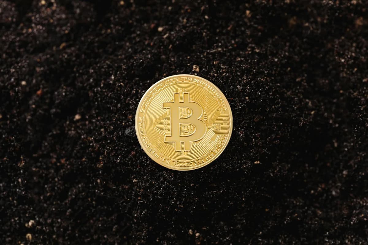 A close-up shot of a Bitcoin partially buried in soil, symbolizing digital currency growth.