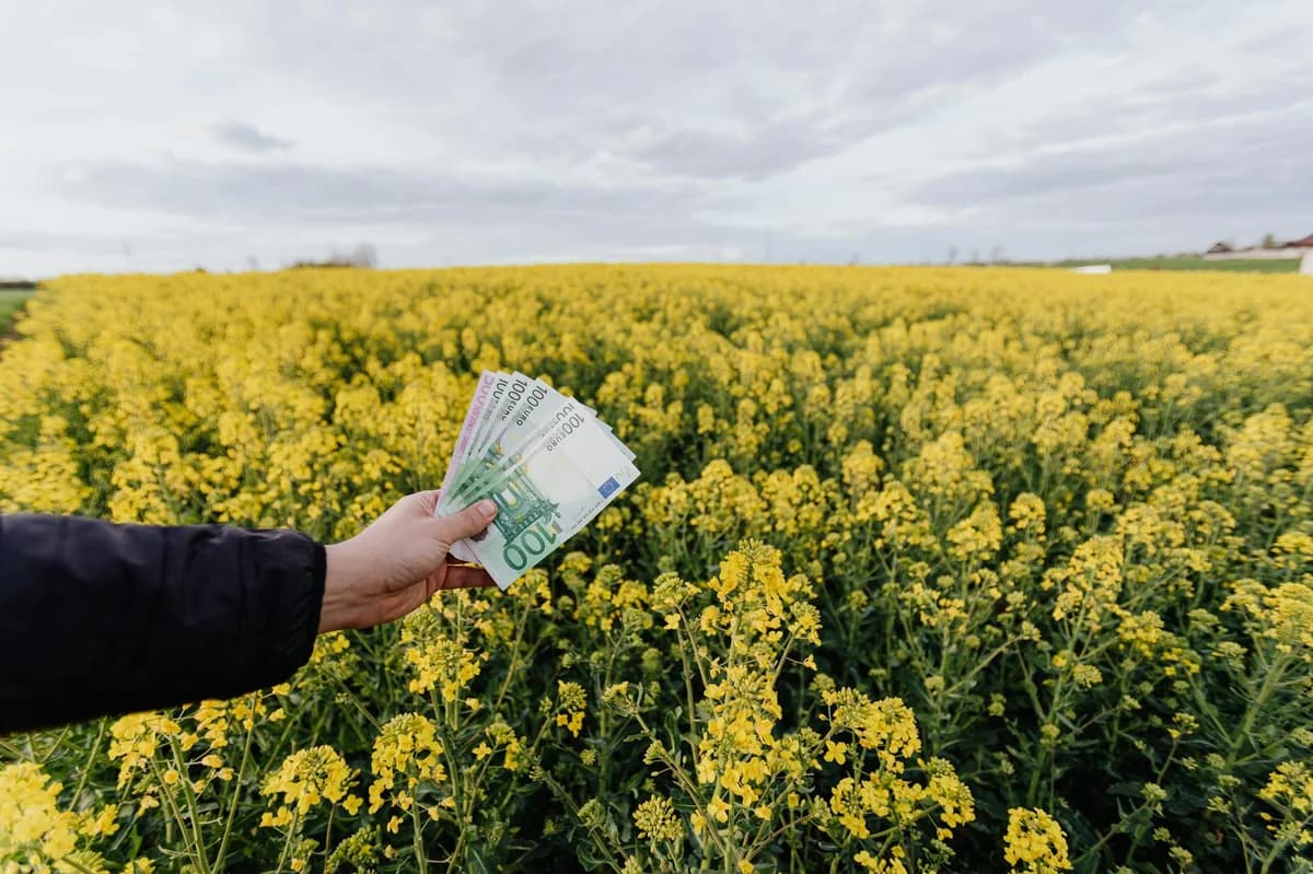 Unrecognizable male holding Russian bills  while standing on blossom field during trip on countryside on daytime