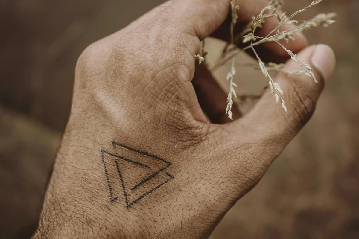 A detailed view of a hand with a triangle tattoo holding delicate dried plant stems.