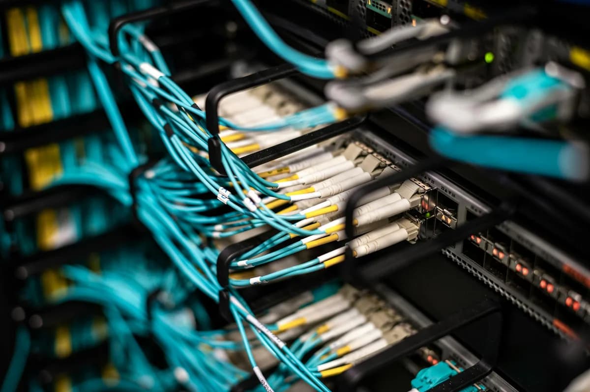 Networking cables plugged into a patch panel, showcasing data center connectivity.