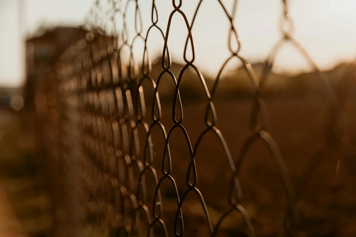 Close-up image of raindrops delicately clinging to a wire fence in low light.
