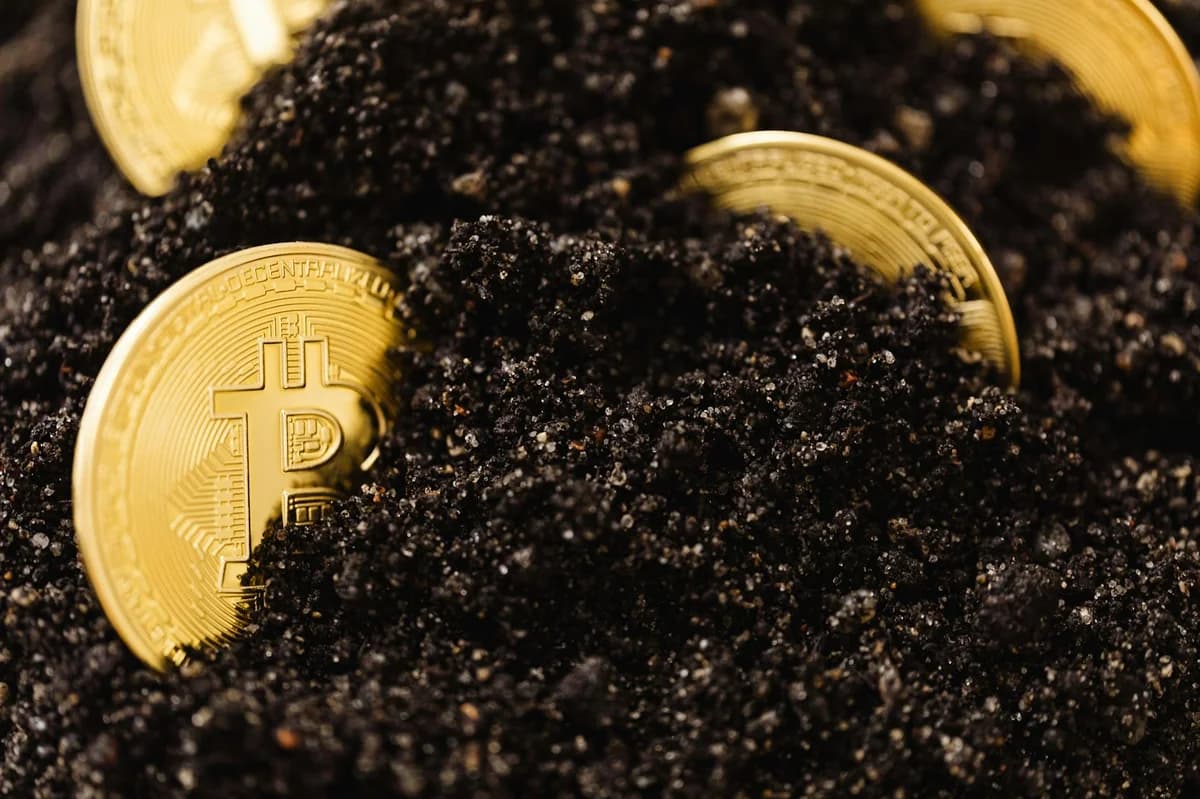 Golden Bitcoin partially buried in dark soil, signifying investment growth.