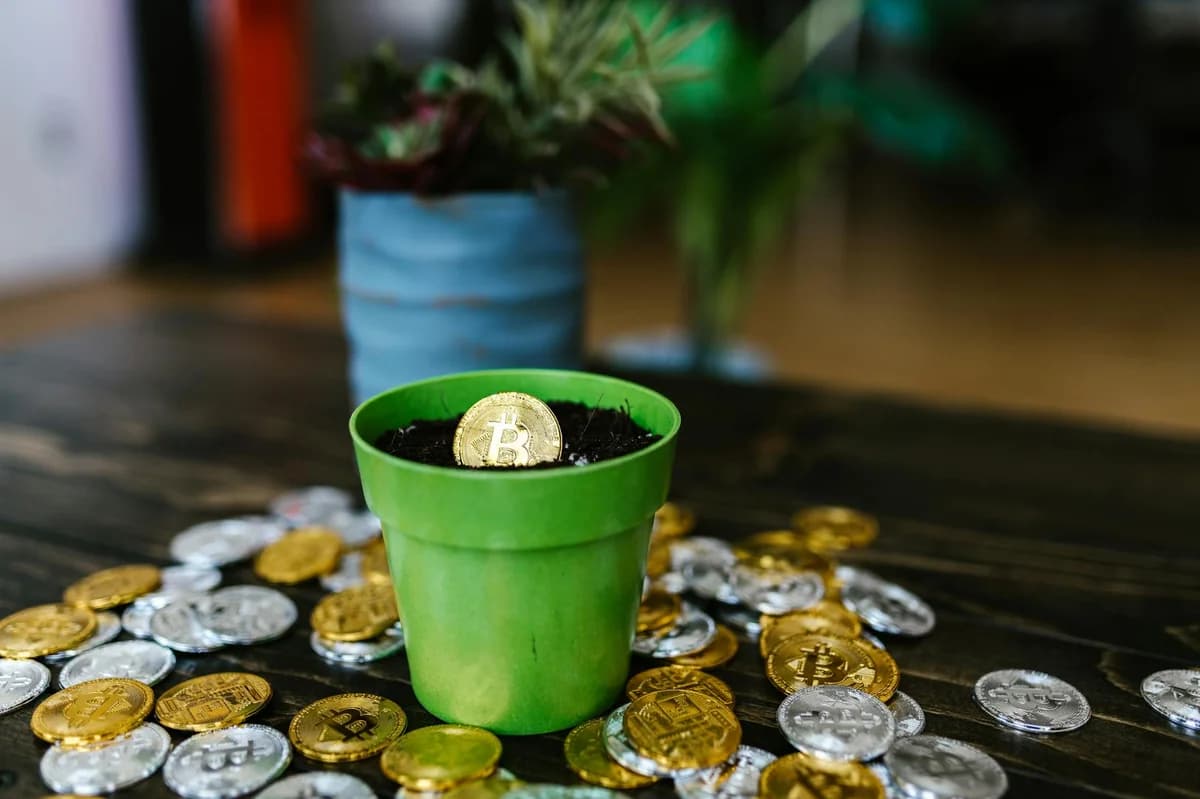 Close-up of Bitcoin coins partially buried in dark, textured soil, representing digital currency growth.