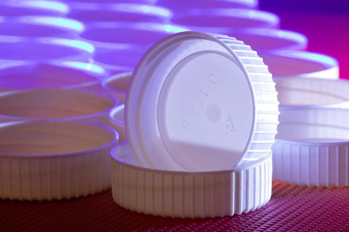 Aesthetic arrangement of white plastic lids with striking blue and purple lighting.
