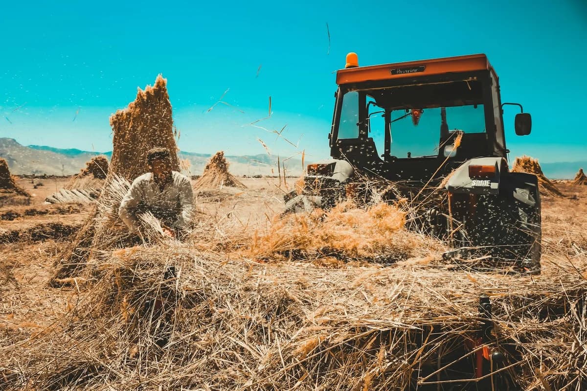 A farmer working with a tractor in sunny fields, surrounded by sheaves of hay under a clear summer sky.
