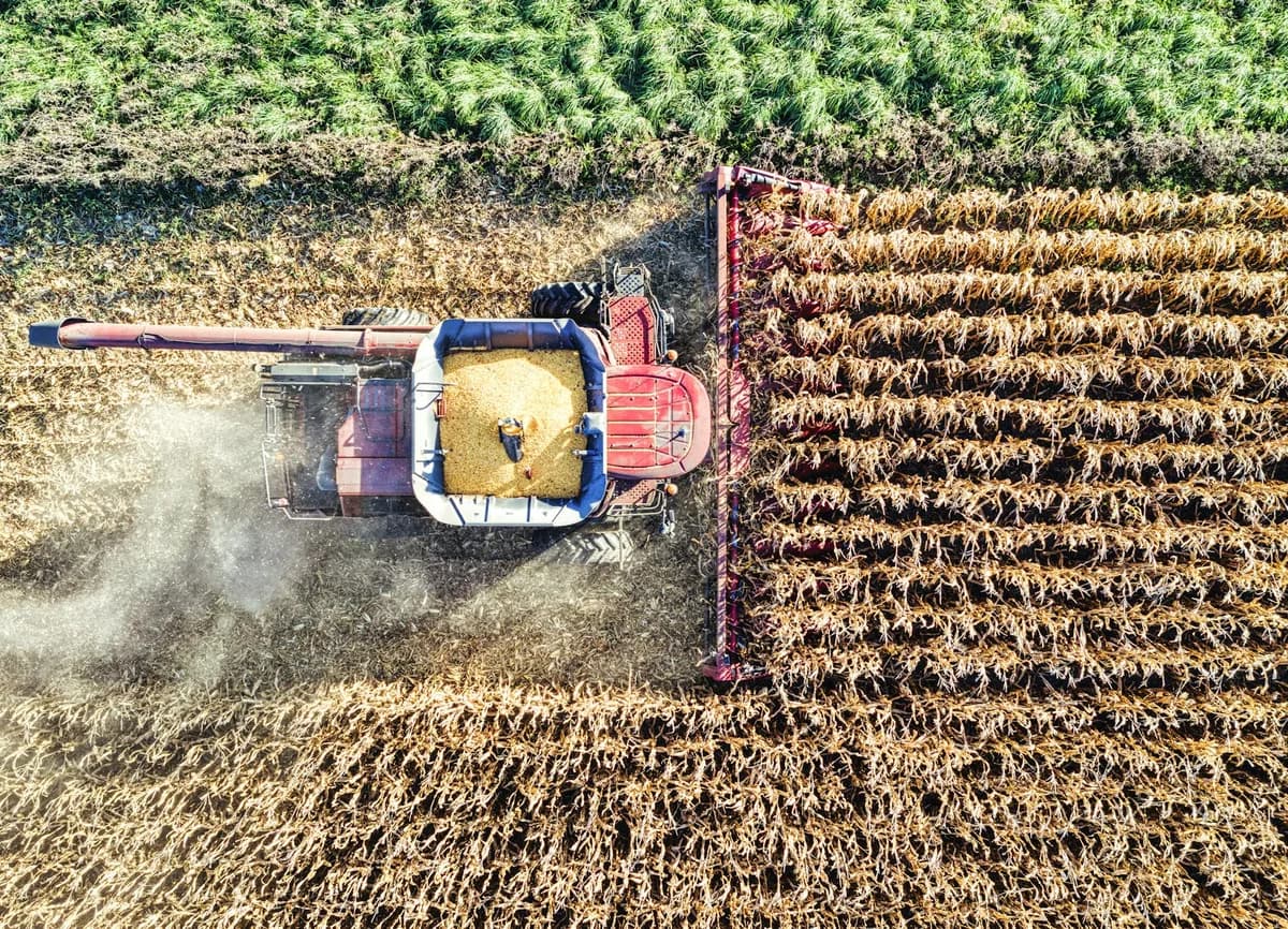 Aerial shot of a red combine harvester gathering corn in a lush field, Minnesota.